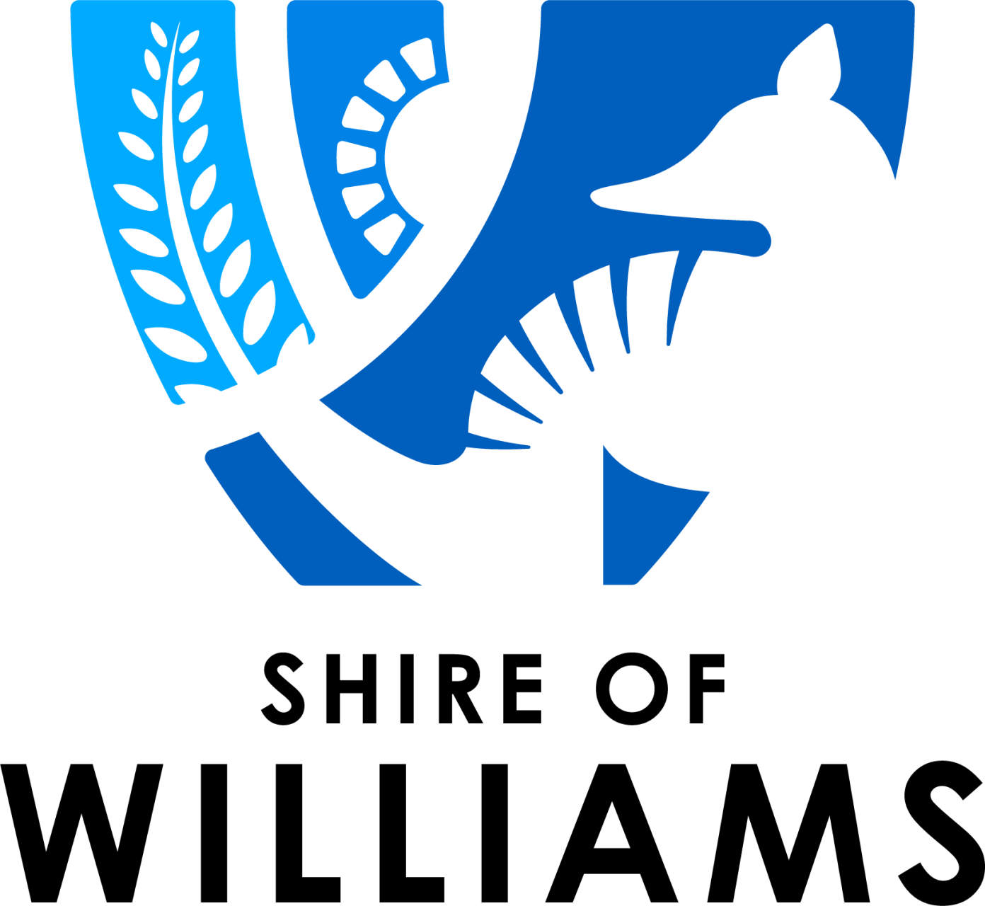 Local Government Election Results
